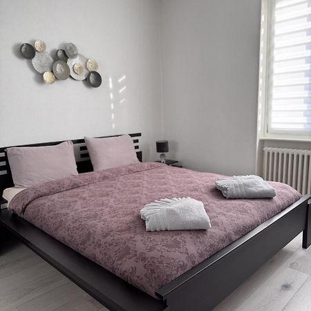 Appartement Des 3 Pays. 2 Mn De Bale+ Free Parking Saint-Louis  Kültér fotó