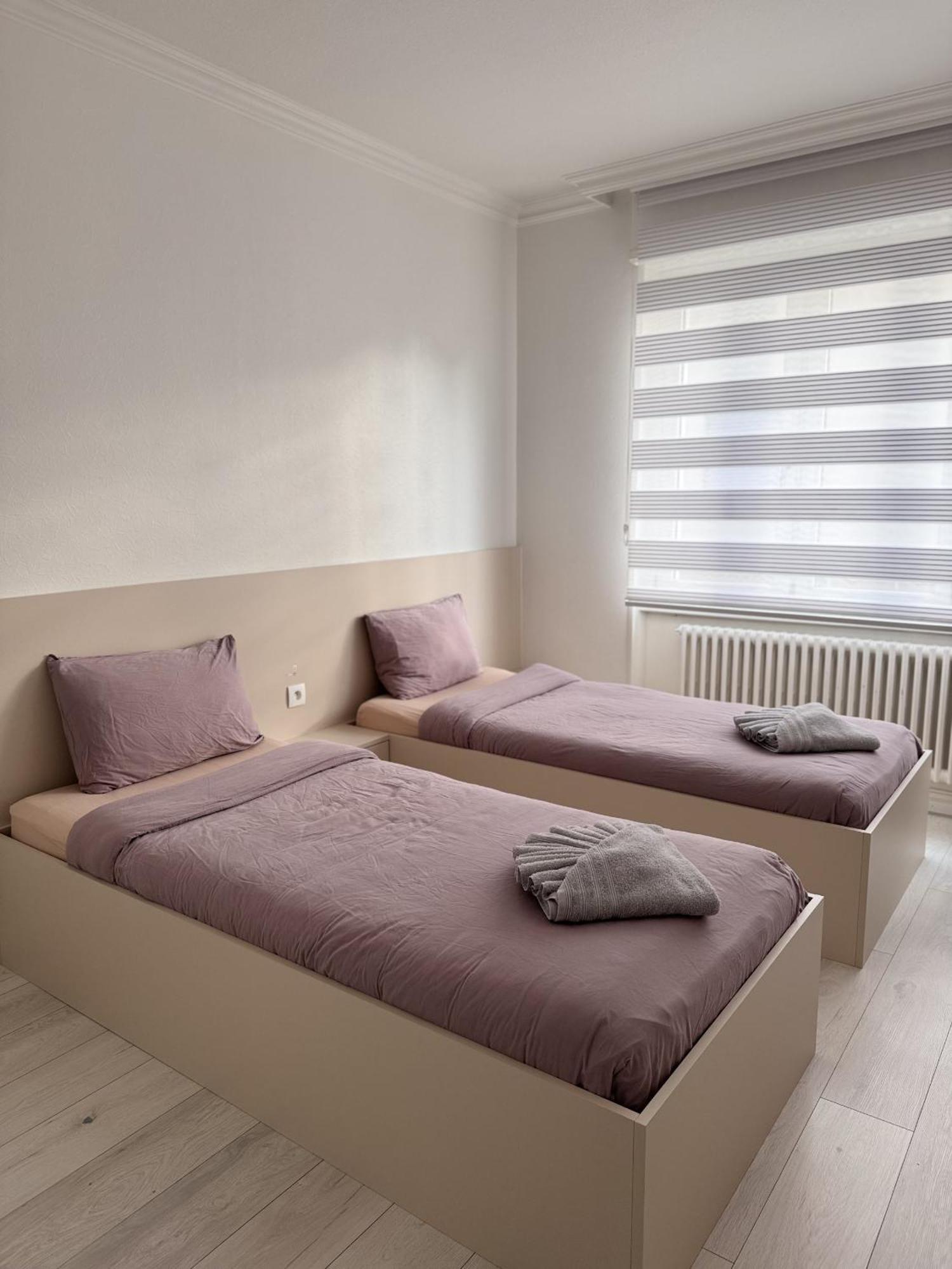 Appartement Des 3 Pays. 2 Mn De Bale+ Free Parking Saint-Louis  Kültér fotó