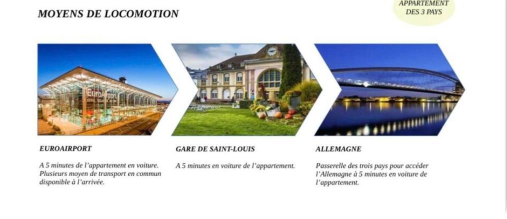 Appartement Des 3 Pays. 2 Mn De Bale+ Free Parking Saint-Louis  Kültér fotó