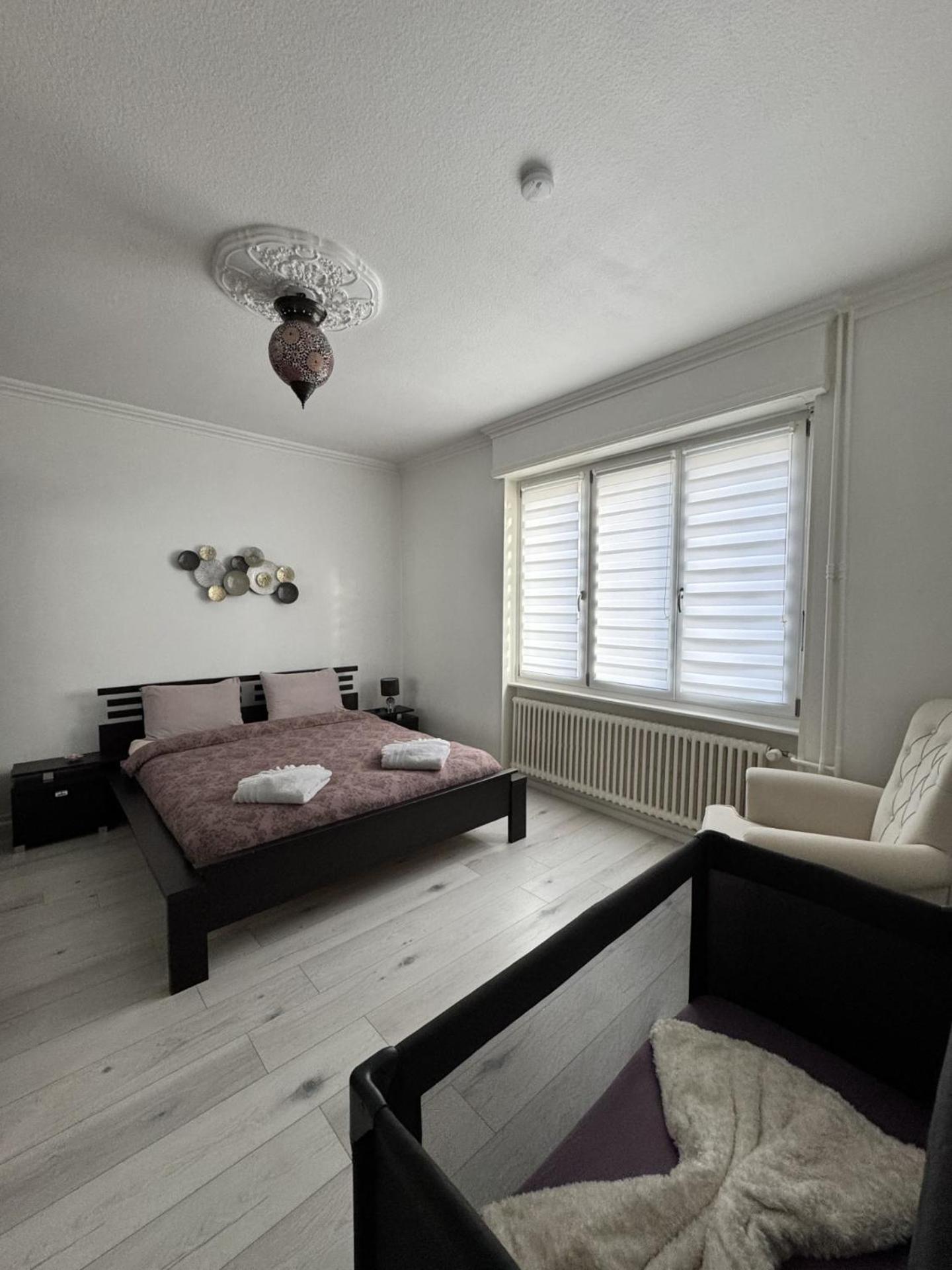 Appartement Des 3 Pays. 2 Mn De Bale+ Free Parking Saint-Louis  Kültér fotó