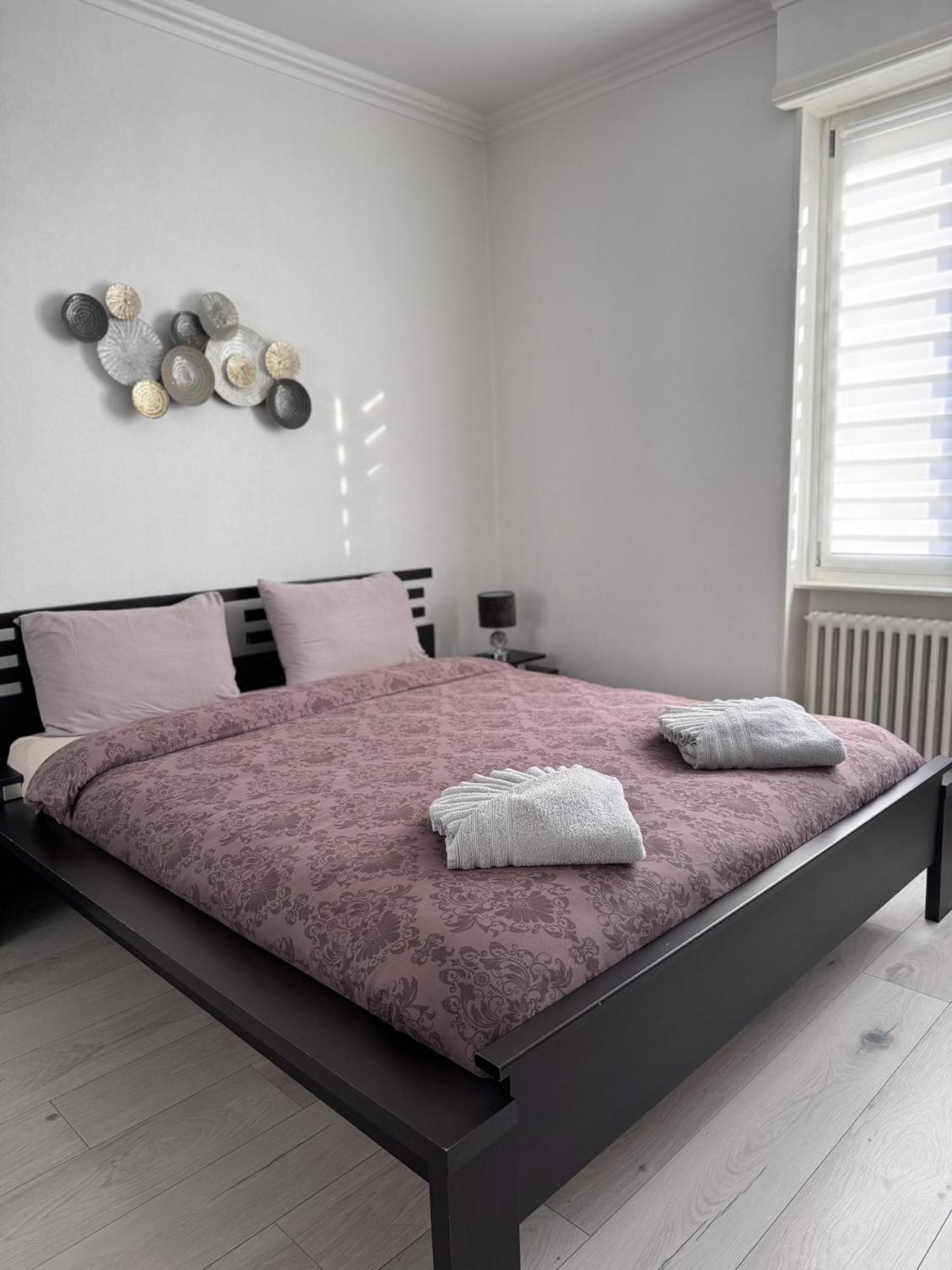 Appartement Des 3 Pays. 2 Mn De Bale+ Free Parking Saint-Louis  Kültér fotó